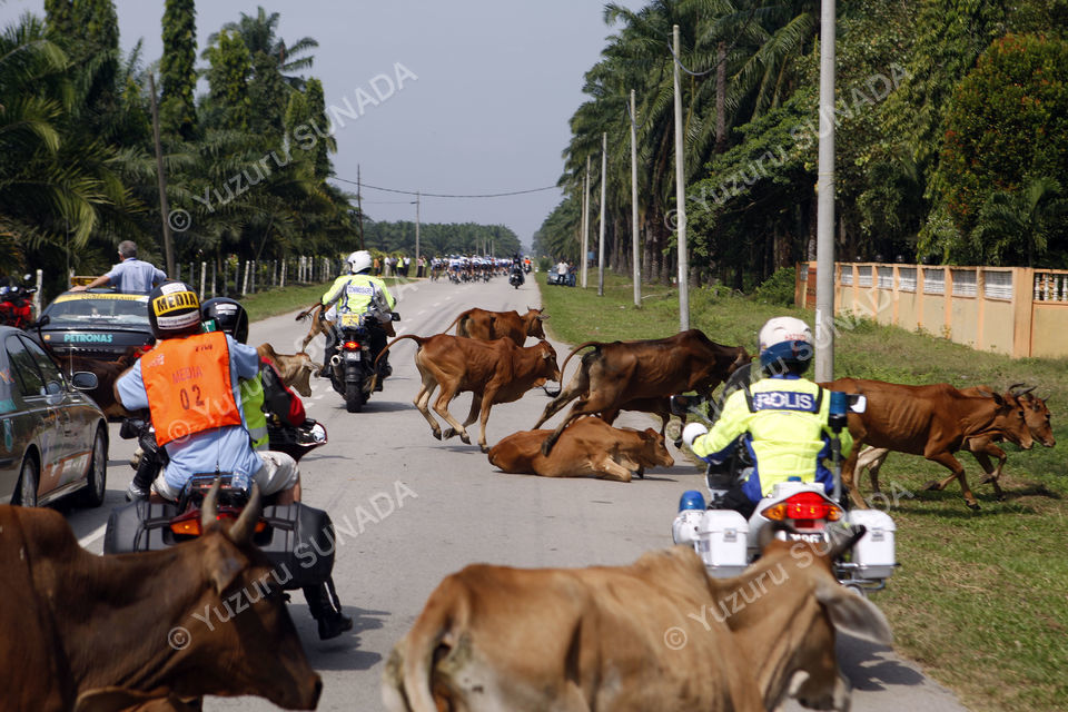 2009 Tour de Langkawi Stage 06